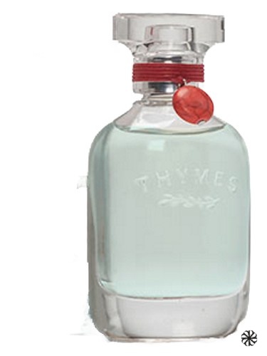 Aqua Coralline Thymes