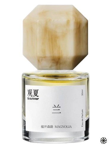 Magnolia To Summer | 观夏