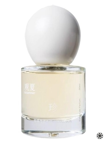 Pearl Box 珍珠与老木匣 To Summer | 观夏