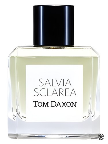 Salvia Sclarea Tom Daxon
