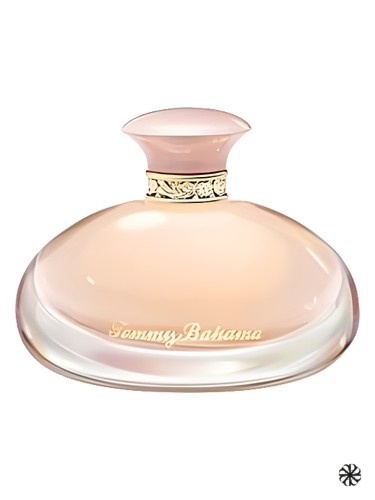 Tommy Bahama Tommy Bahama