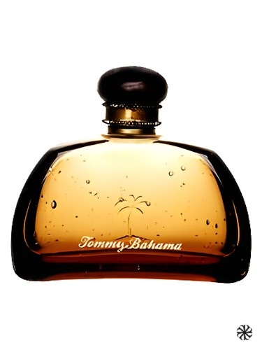 Tommy Bahama Men Tommy Bahama