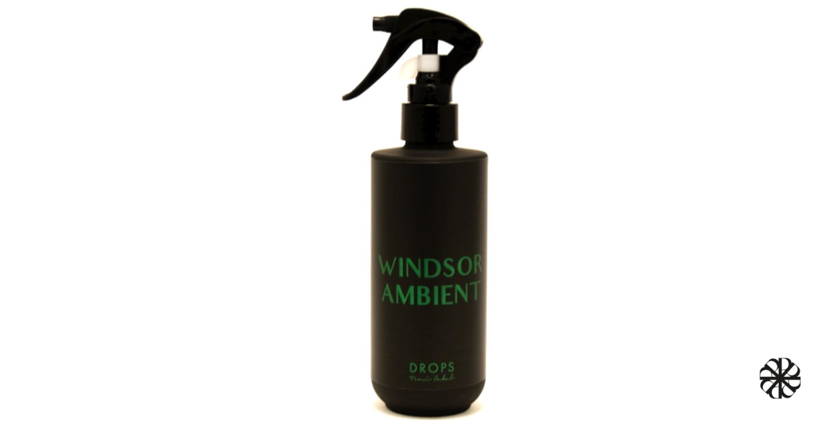WINDSOR AMBIENT Toni Cabal