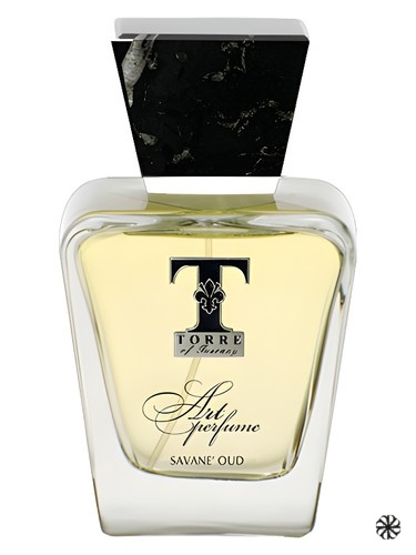 Savane Oud Torre of Tuscany