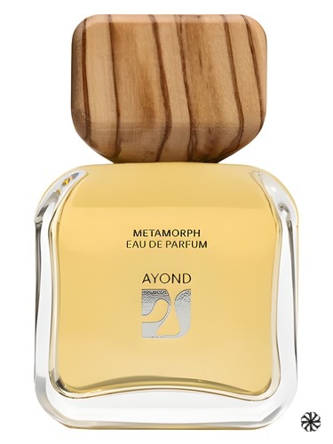 Metamorph Ayond
