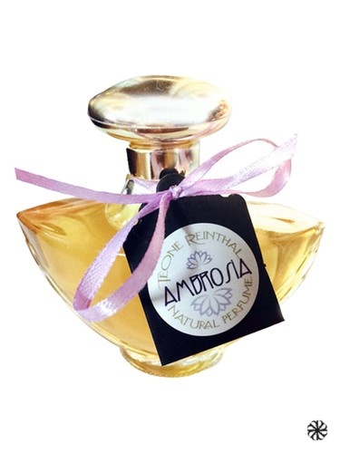Ambrosia TRNP
