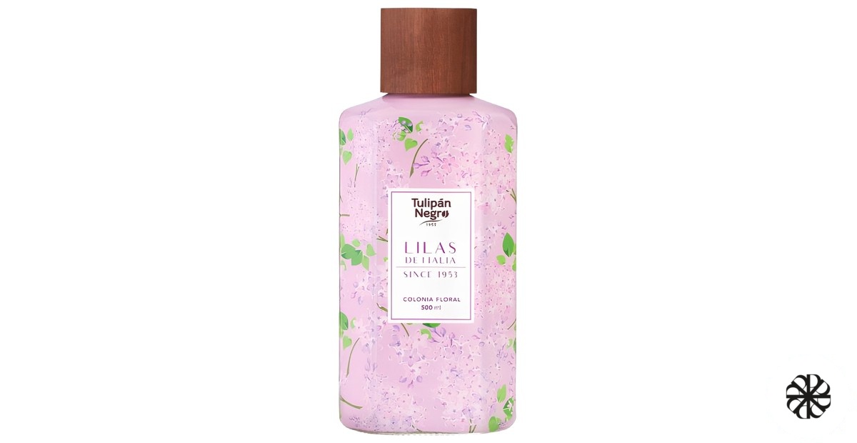 Lilas de Italia Tulipán Negro