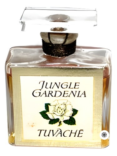 Jungle Gardenia Tuvaché
