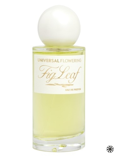 Fig Leaf Universal Flowering