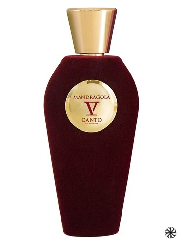 Mandragola V Canto