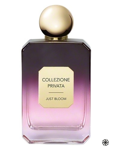 Just Bloom Valmont