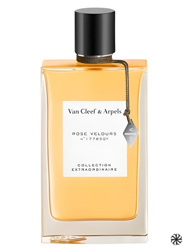 Rose Velours Van Cleef & Arpels