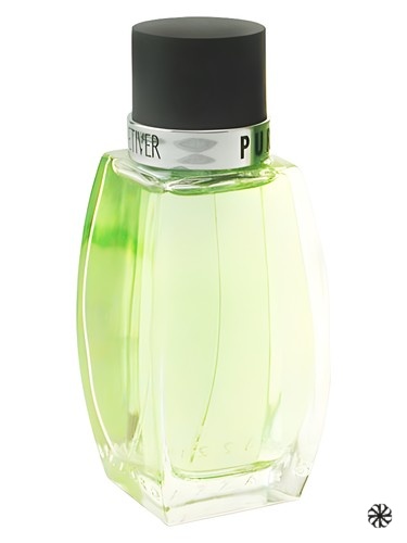 Pure Vetiver Azzaro