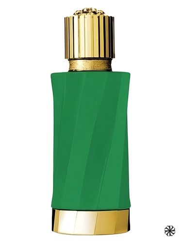 Patchouli Précieux Versace