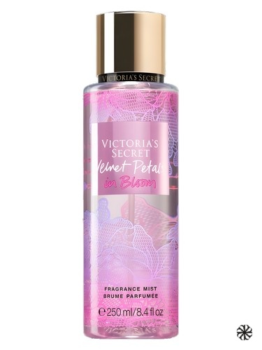 Velvet Petals in Bloom Victoria's Secret