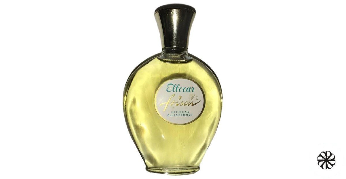Frisch Ellocar