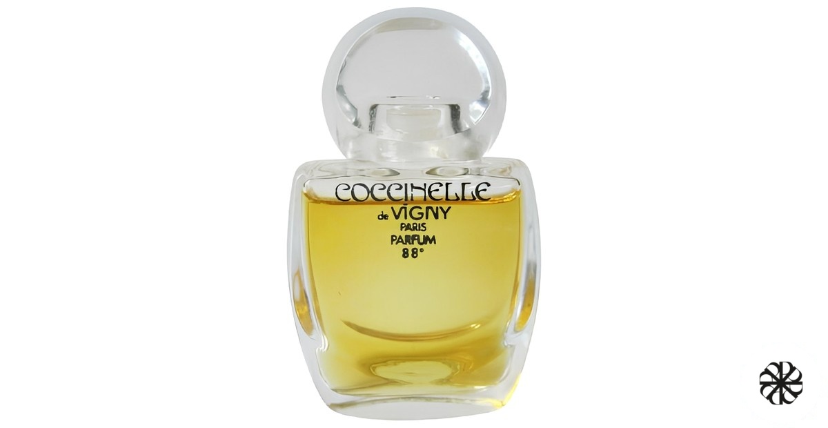 Coccinelle Vigny