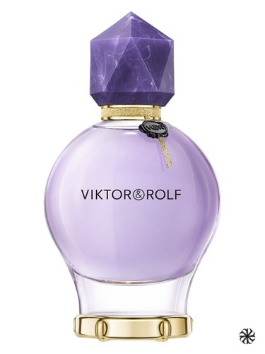 Good Fortune Viktor&Rolf