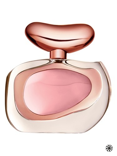 Illuminare Vince Camuto