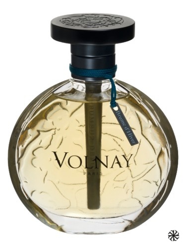 Brume d'Hiver Volnay