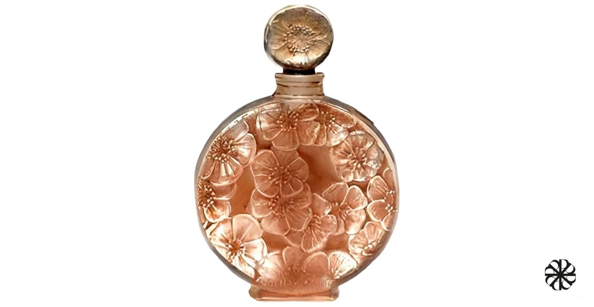 Chypre Ambre Volnay