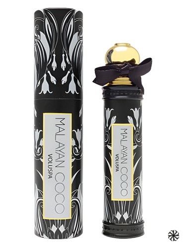 Malayan Coco Voluspa