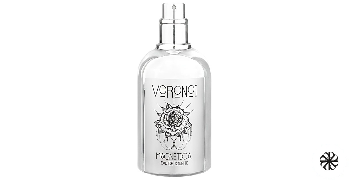 Magnetica Voronoi