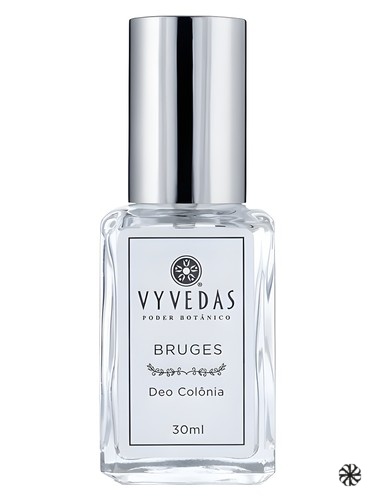 Bruges Vyvedas