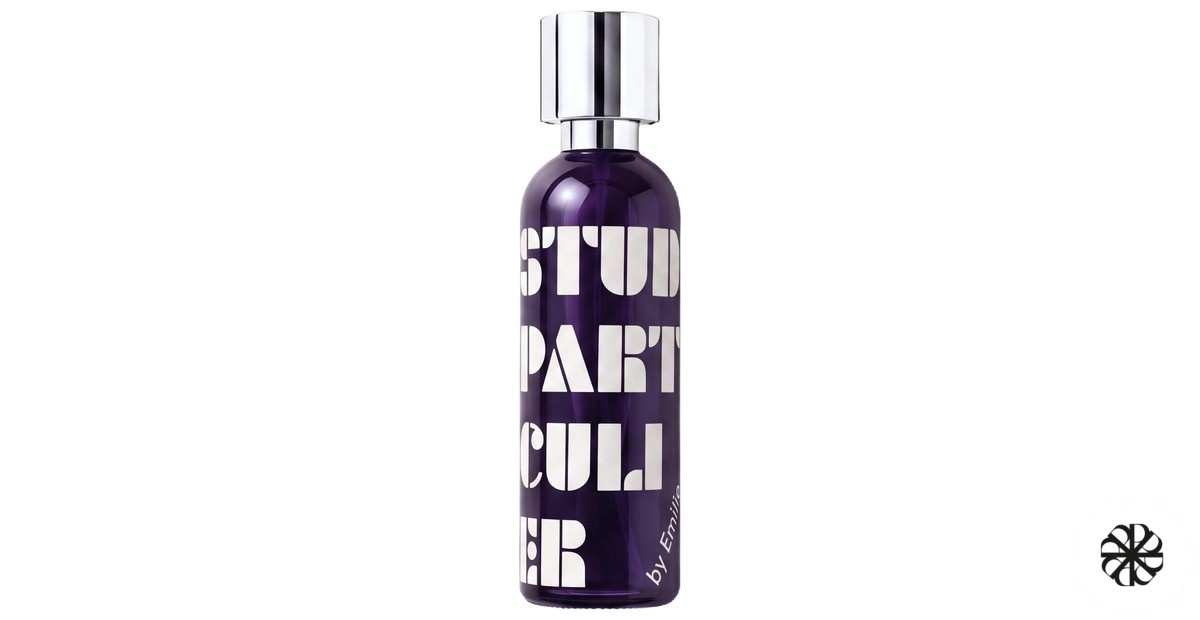 Studio Particulier What We Do Is Secret