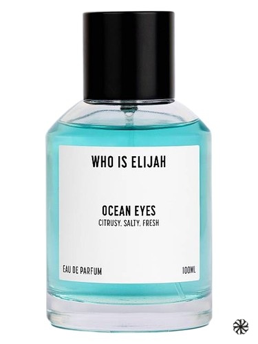 Ocean Eyes Who is Elijah