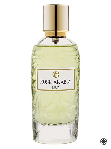 Rose Arabia Lily WIDIAN