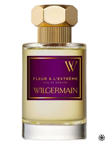 Fleur à l'Extrême Wilgermain