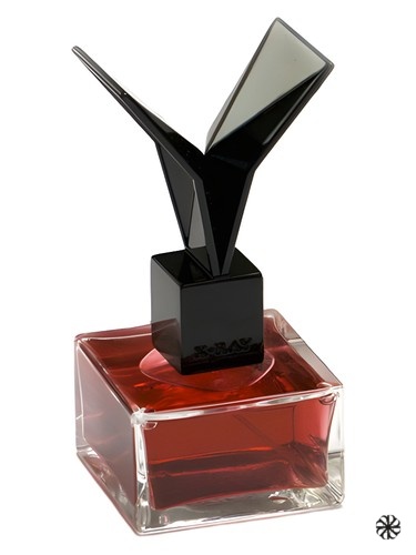 Lacquered Rose X-Ray