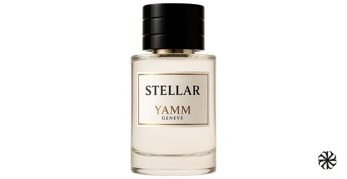 Stellar YAMM Genève