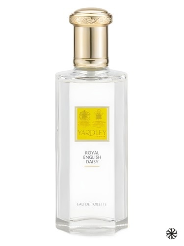 Royal English Daisy Yardley