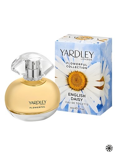 English Daisy Yardley
