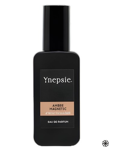 Ambre Magnetic Ynepsie