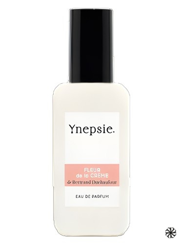 Fleur de la Crème Ynepsie