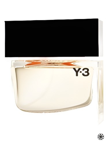 Y-3 Black Label Yohji Yamamoto