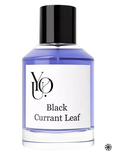Black Currant Leaf YOU