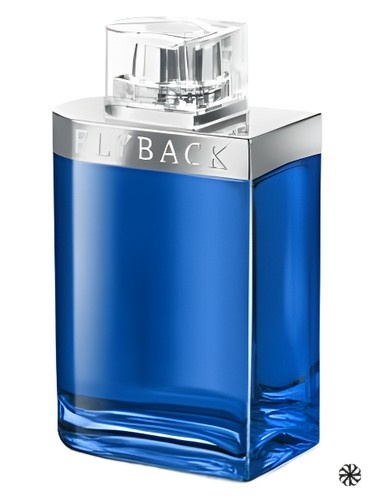 Flyback by Night Yves de Sistelle
