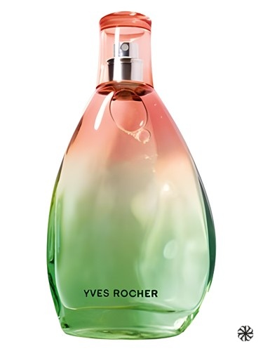 Green Summer Yves Rocher