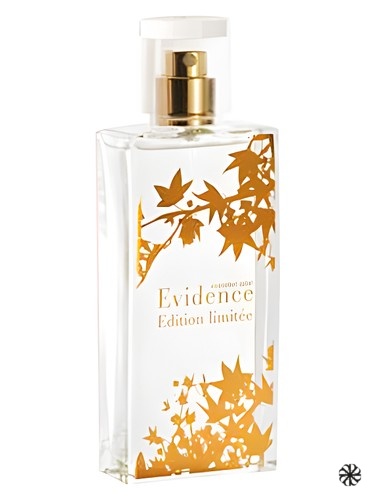 Comme Une Evidence Limited Edition 2008 Yves Rocher