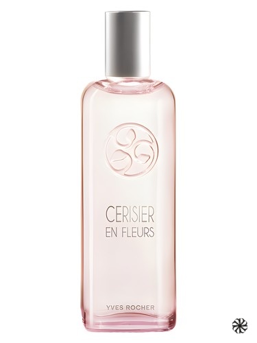 Cerisier en Fleurs Yves Rocher