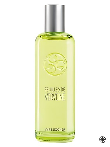 Feuilles de Verveine Yves Rocher