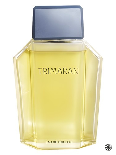 Trimaran 1986 Yves Rocher