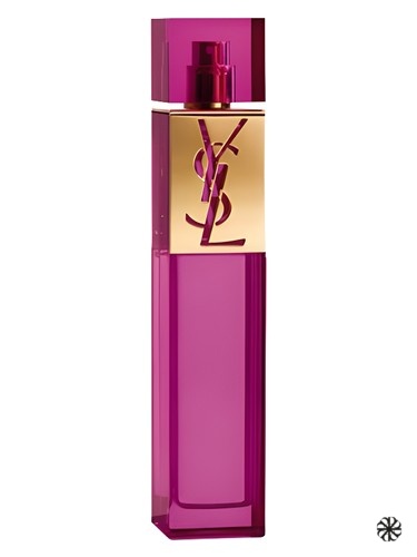 Elle Yves Saint Laurent