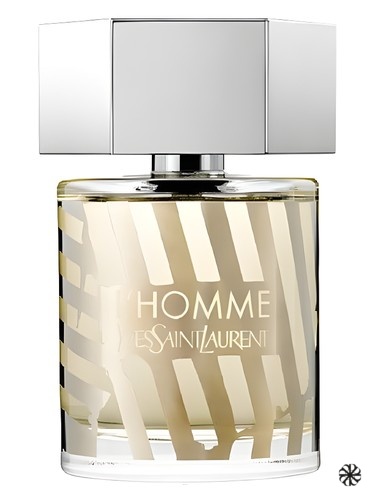 Art Collection: L'Homme Yves Saint Laurent