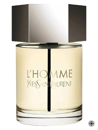 L'Homme Yves Saint Laurent