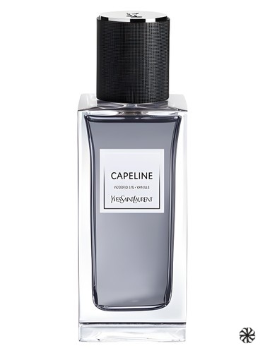 Capeline Yves Saint Laurent